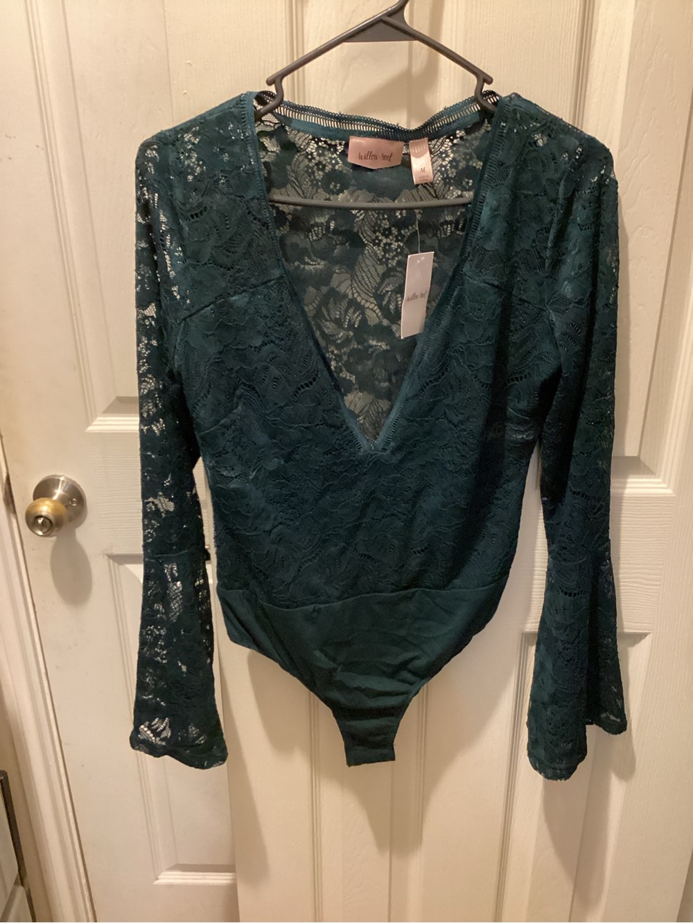 Willow Green Lace Long-Sleeve Bodysuit